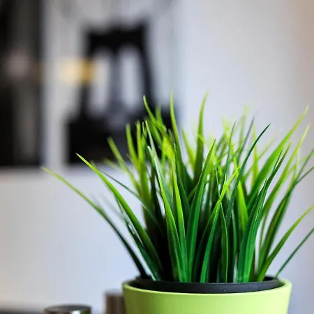 Nyc Gare Appartamento *