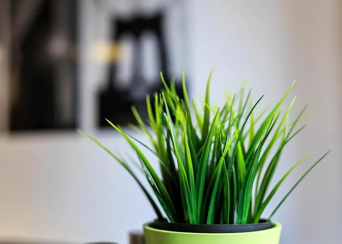 Nyc Gare Apartment *